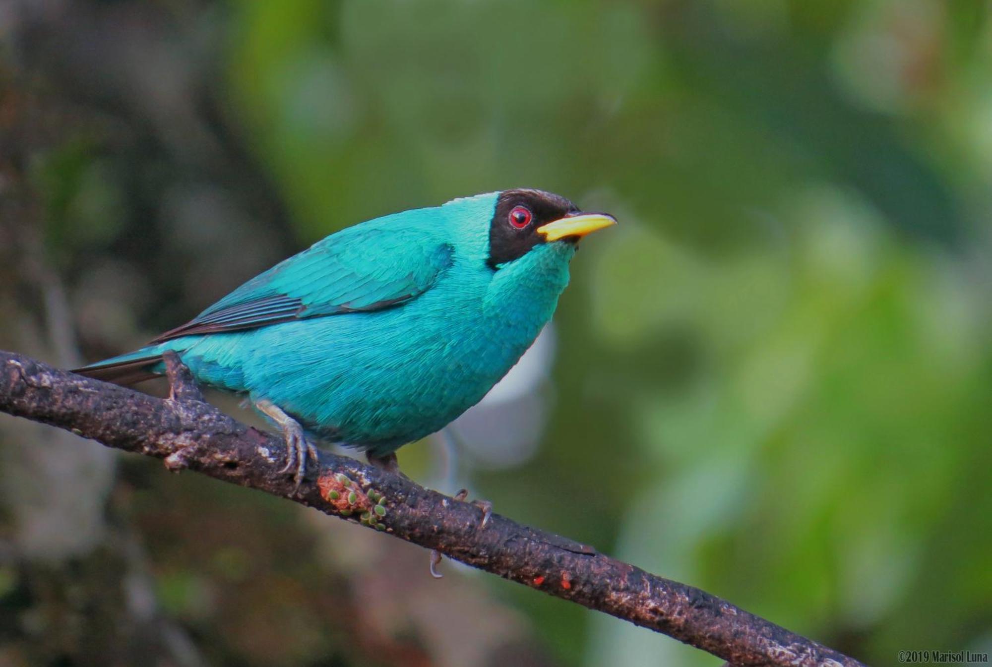 La Selva Biological Station Hotel Sarapiquí Kültér fotó