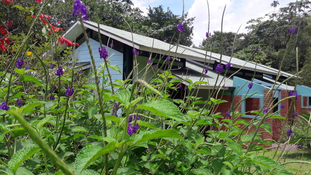 La Selva Biological Station Hotel Sarapiquí Kültér fotó