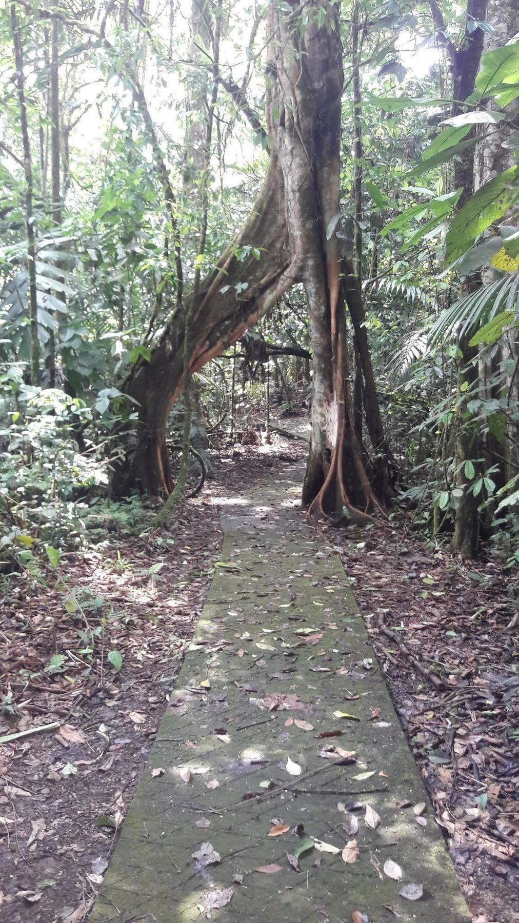 La Selva Biological Station Hotel Sarapiquí Kültér fotó