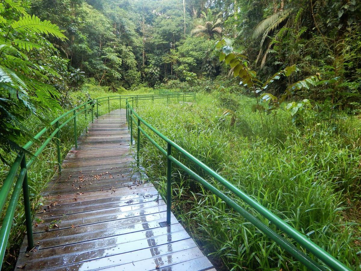 La Selva Biological Station Hotel Sarapiquí Kültér fotó